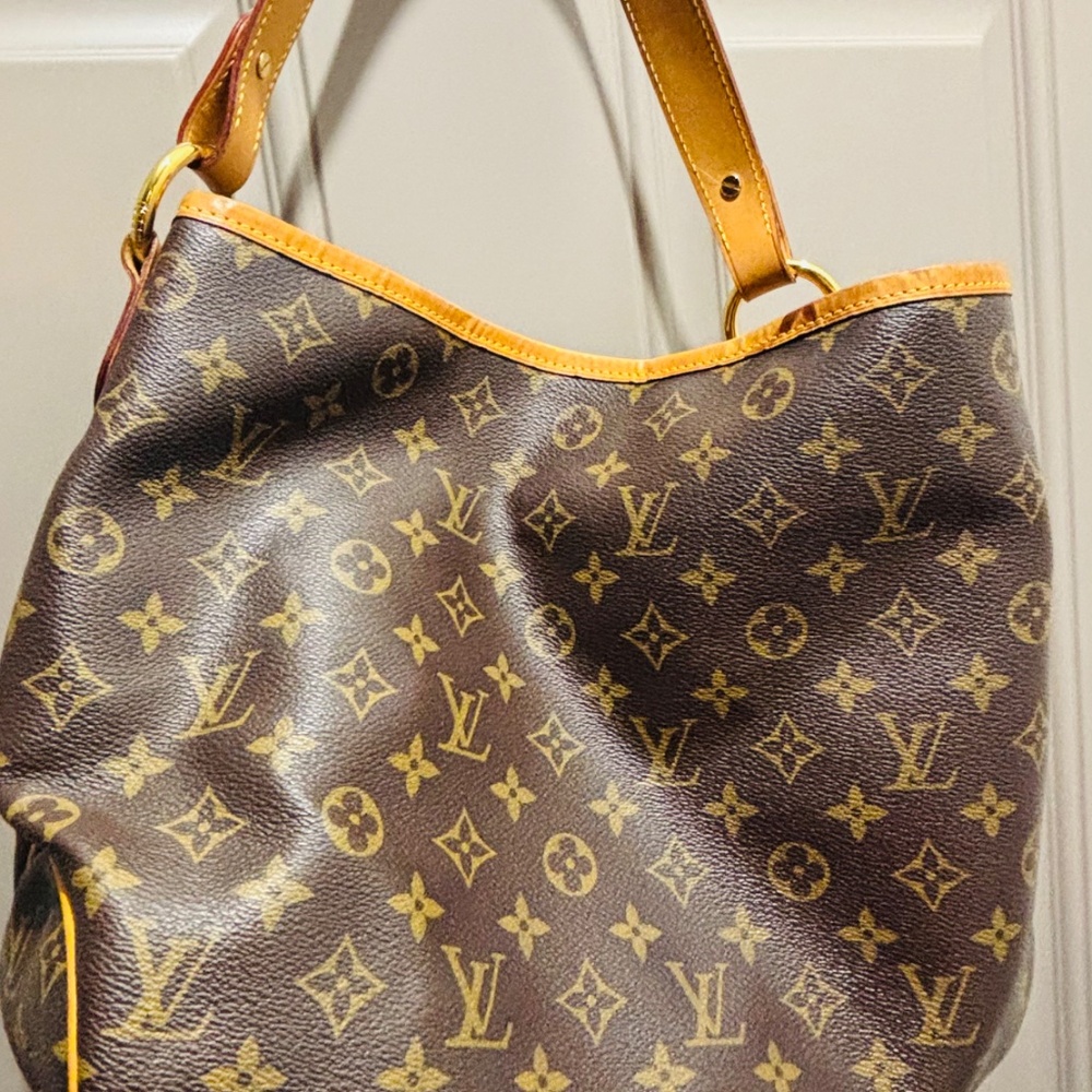 LV Mono Delightful - Picture 2 of 8